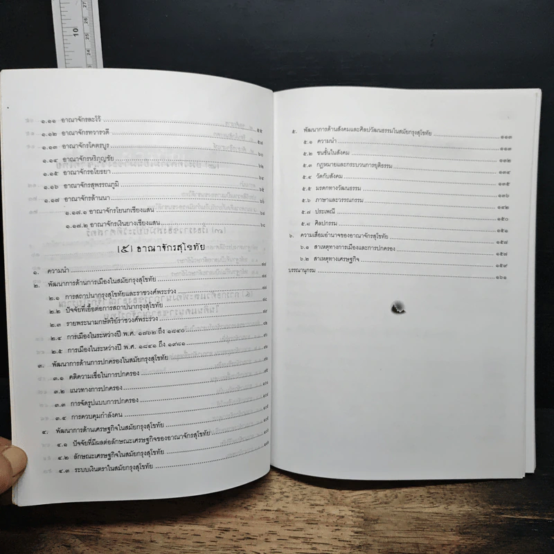 หนังสือ ประวัติศาสตร์ไทย: ยุคก่อนประวัติศาสตร์ถึงสิ้นอาณาจักรสุโขทัย - รองศาสตราจารย์ดนัย ไชยโยธา รูปที่ 8
