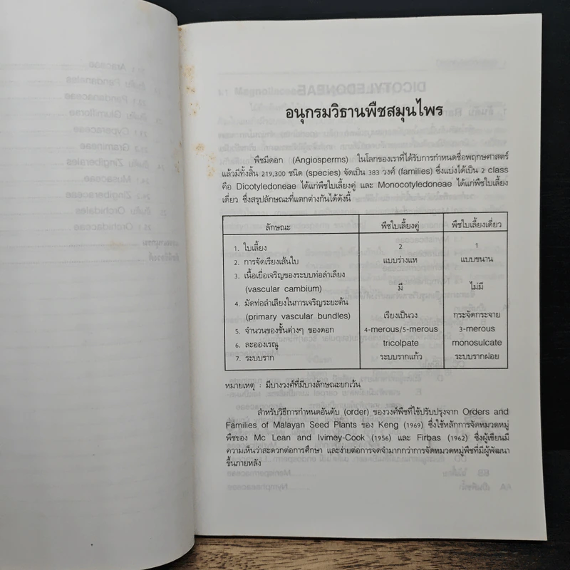 อนุกรมวิธานพืชสมุนไพร - สมภพ ประธานธุรารักษ์ รูปที่ 9