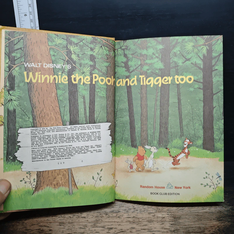Walt Disney's Winnie the Pooh and Tigger too รูปที่ 6