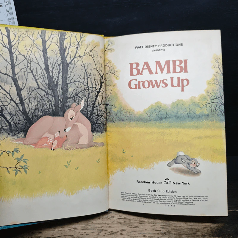 Bambi Grows Up - Walt Disney Productions รูปที่ 6