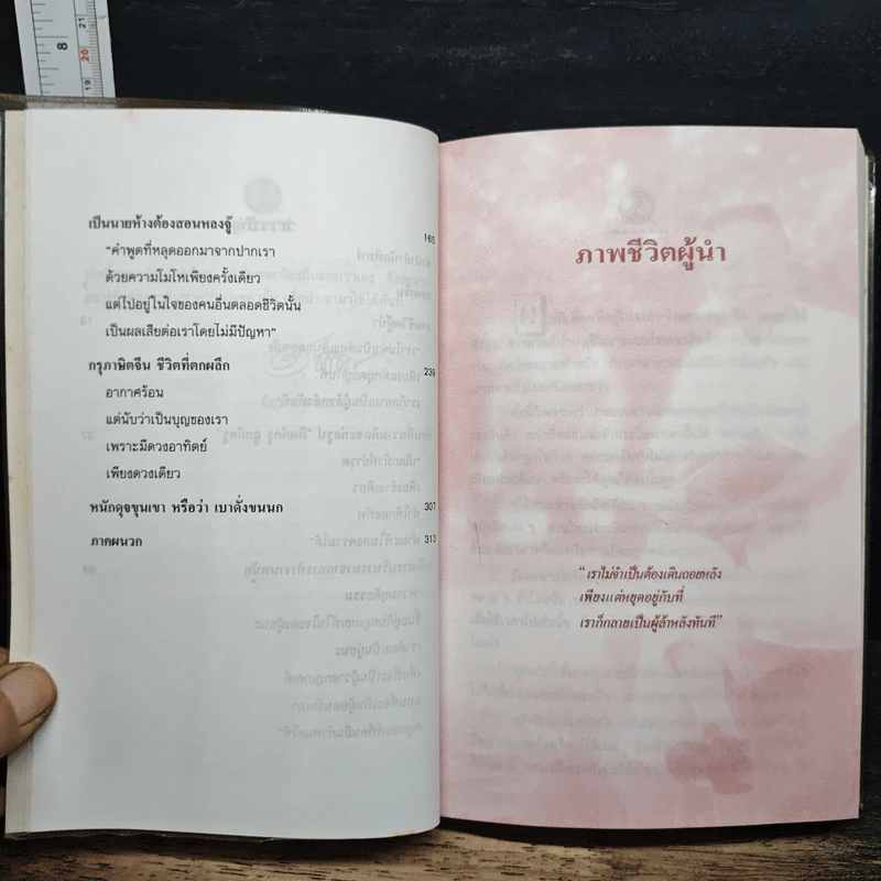 เคล็ดลับความสำเร็จ เทียม โชควัฒนา - สัญญลักษณ์ เทียมถนอม รูปที่ 9