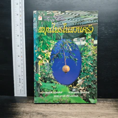 สมุนไพรในสวนครัว - รศ.ดร.วันดี กฤษณพันธ์