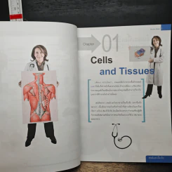 ระบบร่างกายมนุษย์ Human Body - ดร.อรัญญ์ ภูริทรรศนีย์ รูปที่ 8