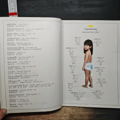 Picture Dictionary พจนานุกรมภาพอังกฤษ-จีน-ญี่ปุ่น-ไทย รูปที่ 8
