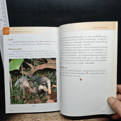 คู่มือเภสัชกรรมแผนไทย เล่ม 3 เครื่องยาสัตววัตถุ รูปที่ 10