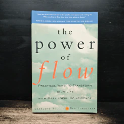 The Power of Flow - Charlene Belitz, Meg Lundstrom รูปที่ 1