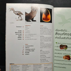 National Geographic ฉบับที่ 71 มิ.ย. 2550 วิกฤติโลกร้อน รูปที่ 8