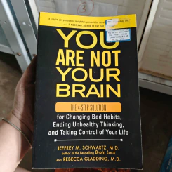 You Are Not Your Brain - Jeffrey M. Schwartz