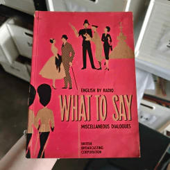 What to Say Miscellaneous Dialogues
