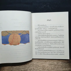 ธรรมะดับร้อน - ว.วชิรเมธี รูปที่ 8