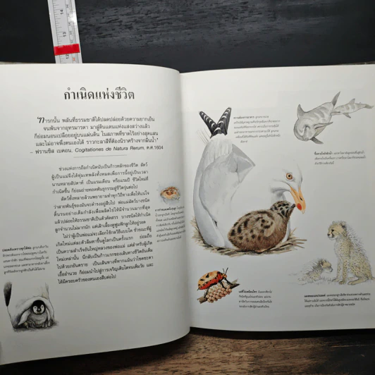สำรวจชีวิต สัตว์โลกผู้น่าทึ่ง - รีดเดอร์ส ไดเจสท์ รูปที่ 8