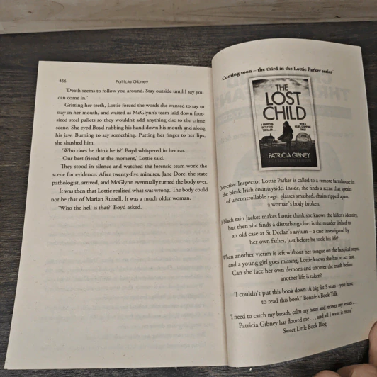 The Stolen Girls - Patricia Gibney รูปที่ 8