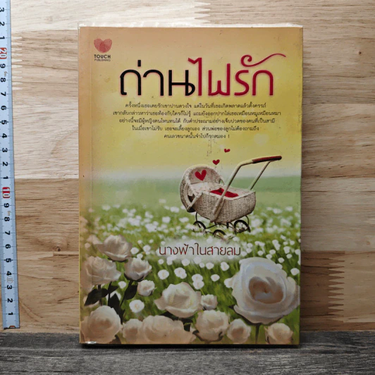 ถ่านไฟรัก - นางฟ้าในสายลม รูปที่ 1