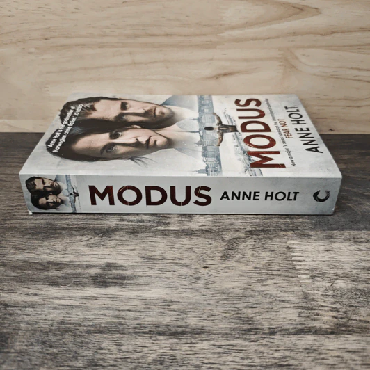 Modus - Anne Holt รูปที่ 2