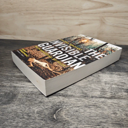 The Invisible Guardian - Dolores Redondo รูปที่ 3