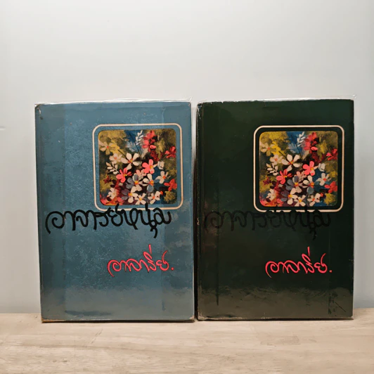 อาจารย์หนุ่ม 2 เล่มจบ - อาจารีย์ รูปที่ 1
