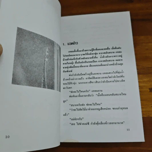 เด็กบ้านทุ่ง - สยุมพร บุตรนา รูปที่ 8