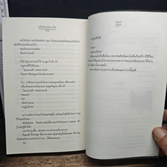 หนึ่งจันทร์กลางใจ รูปที่ 9