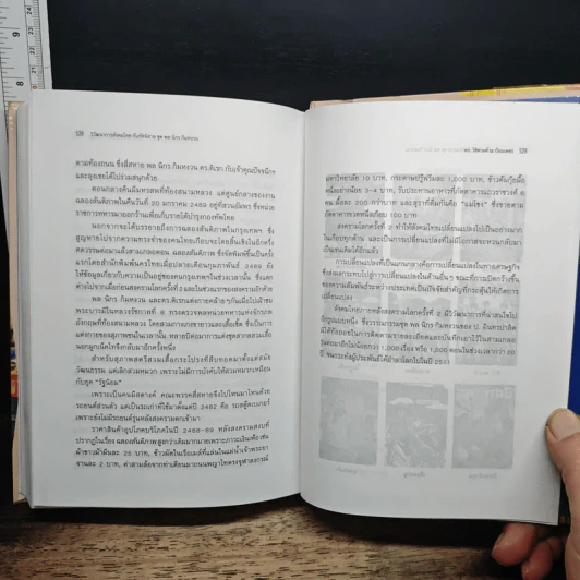 หนังสือ วิวัฒนาการสังคมไทยกับหัสนิยายชุด พล นิกร กิมหงวน ของ ป.อินทรปาลิต รูปที่ 11