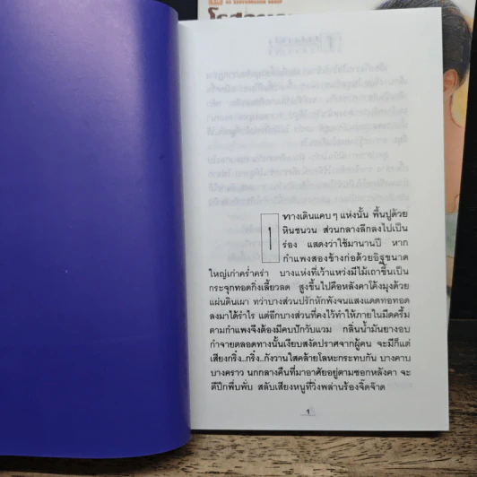โสมส่องแสง 2 เล่มจบ - โรสลาเรน รูปที่ 7