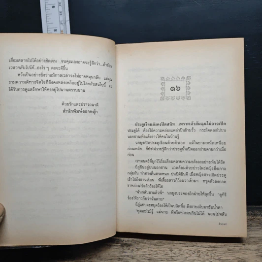 เรือนมยุรา รูปที่ 8