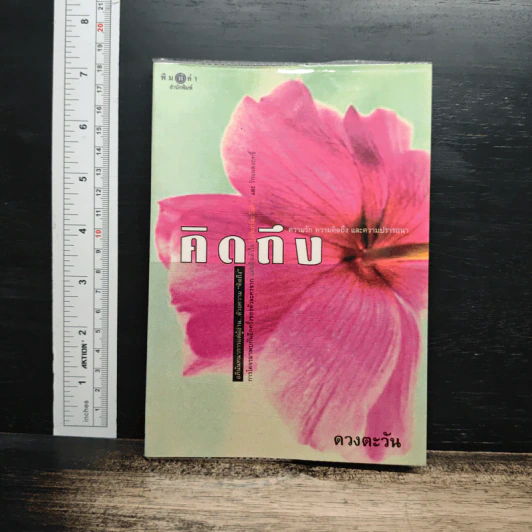คิดถึง - ดวงตะวัน รูปที่ 1