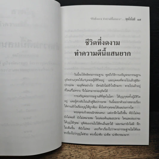 ชีวิตที่งดงาม ทำความดีนี้แสนยาก - พุทโธโลยี รูปที่ 8