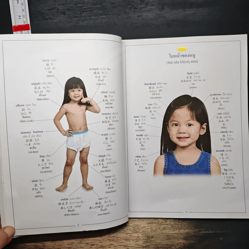 Picture Dictionary พจนานุกรมภาพอังกฤษ-จีน-ญี่ปุ่น-ไทย รูปที่ 9