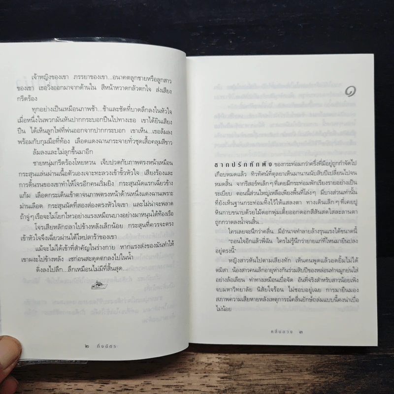 คลื่นลวง - กิ่งฉัตร รูปที่ 7