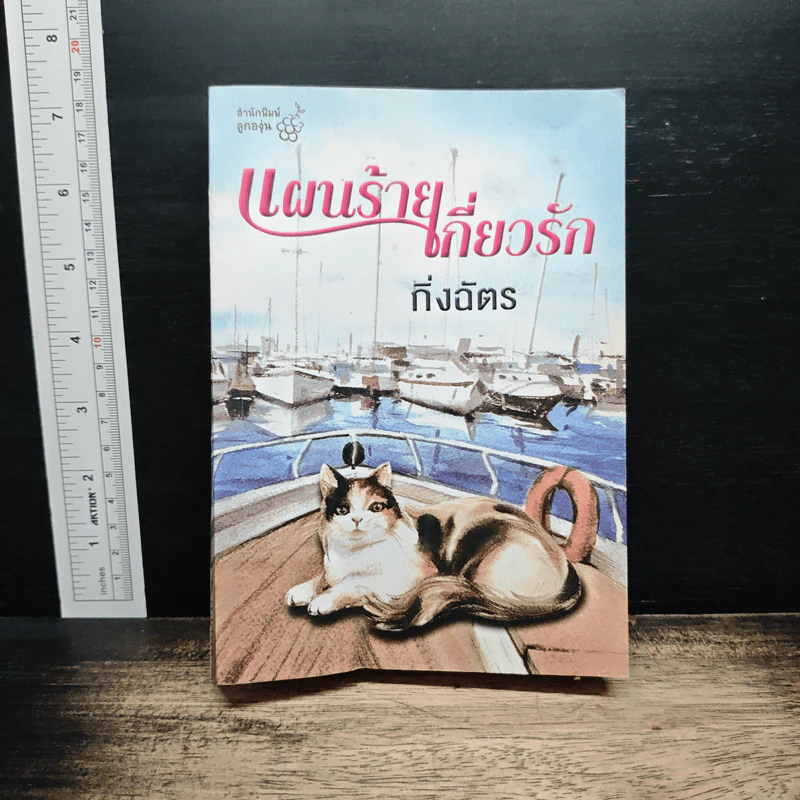 แผนร้ายเกี่ยวรัก - กิ่งฉัตร รูปที่ 1