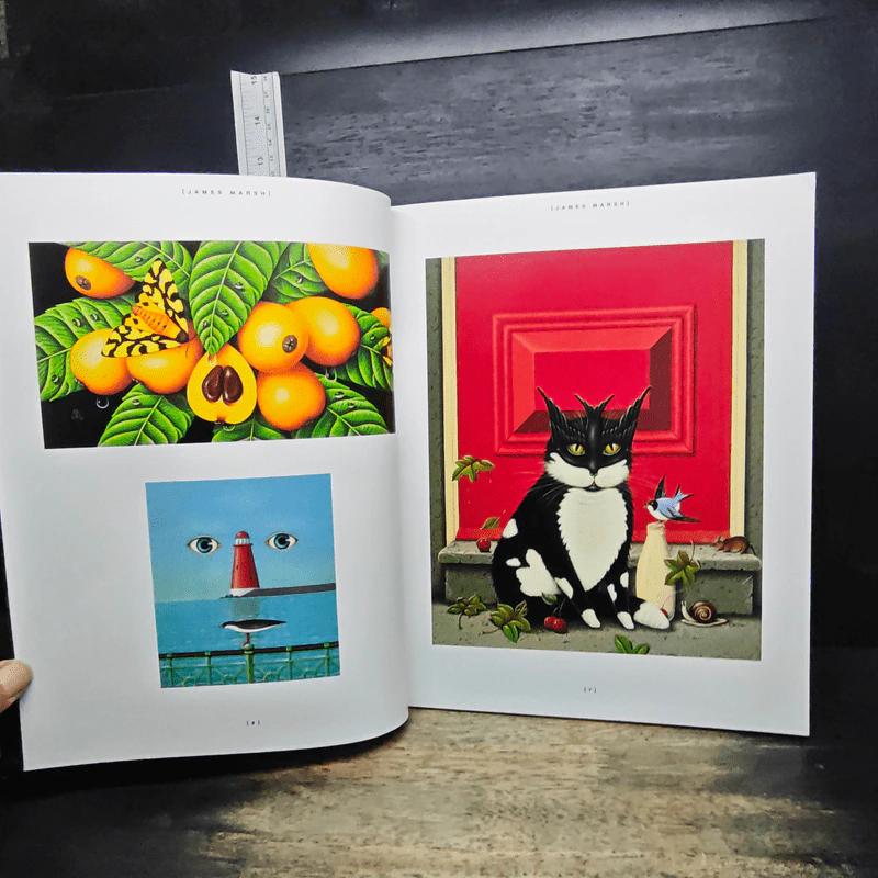 Bernstein & Andriulli International Illustration รูปที่ 8