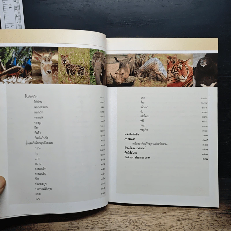 คู่มือเภสัชกรรมแผนไทย เล่ม 3 เครื่องยาสัตววัตถุ รูปที่ 8
