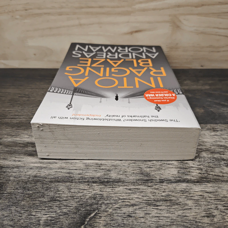Into a Raging Blaze - Andreas Norman รูปที่ 3