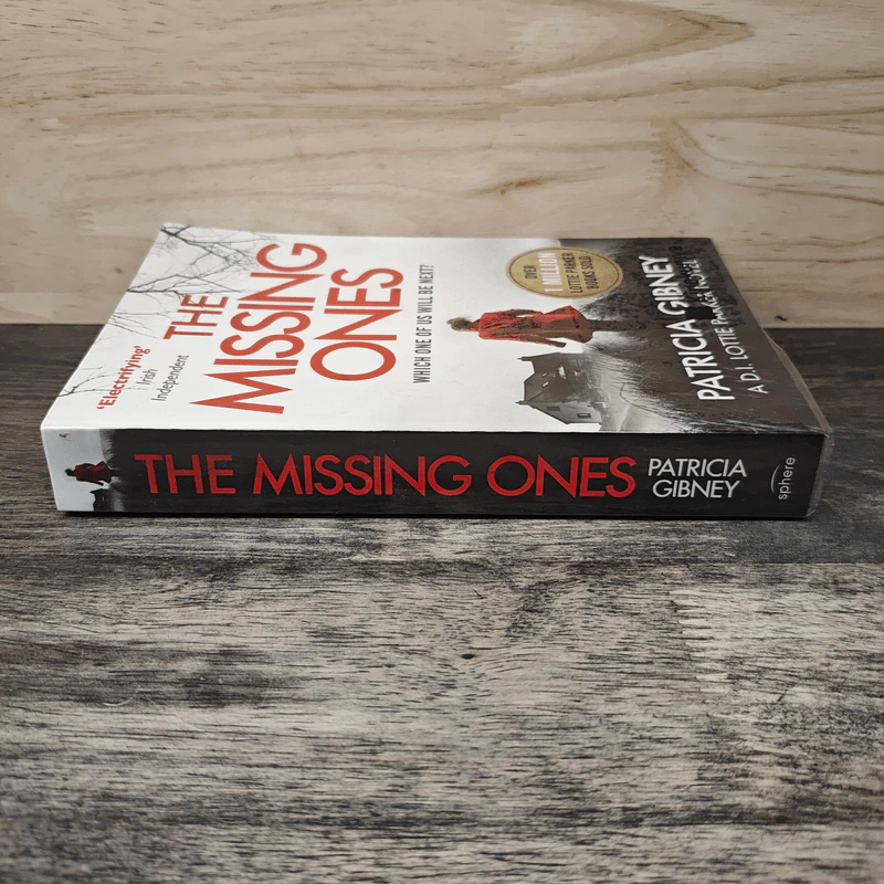 The Missing Ones - Patricia Gibney รูปที่ 2