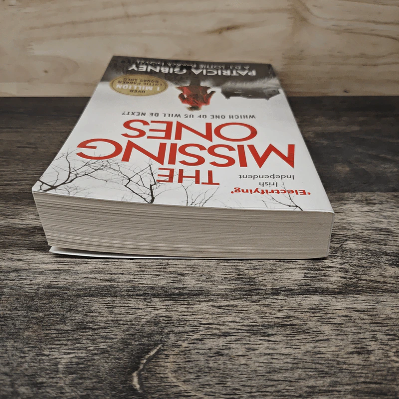 The Missing Ones - Patricia Gibney รูปที่ 4