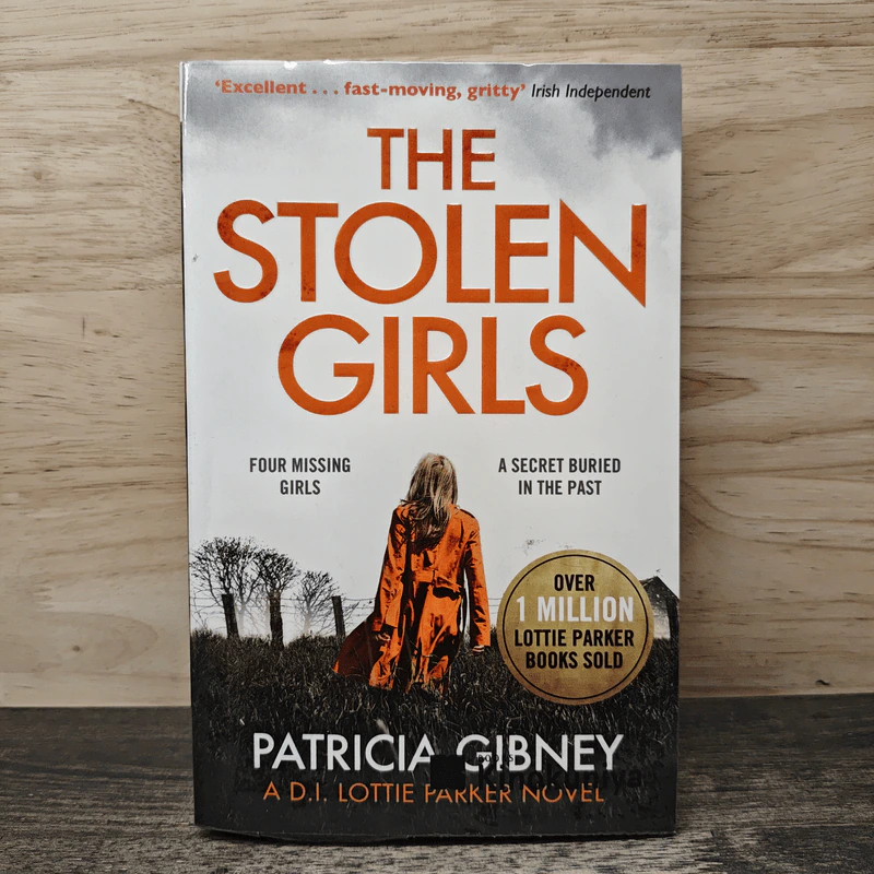 The Stolen Girls - Patricia Gibney รูปที่ 1