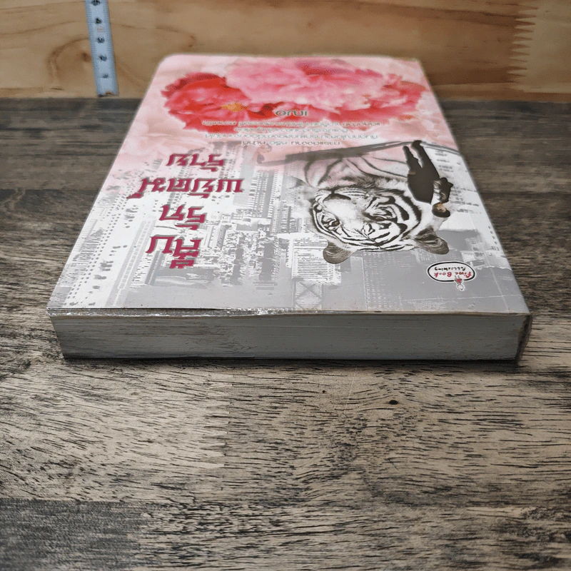 สืบรักพยัคฆ์ร้าย - เฌอ รูปที่ 4