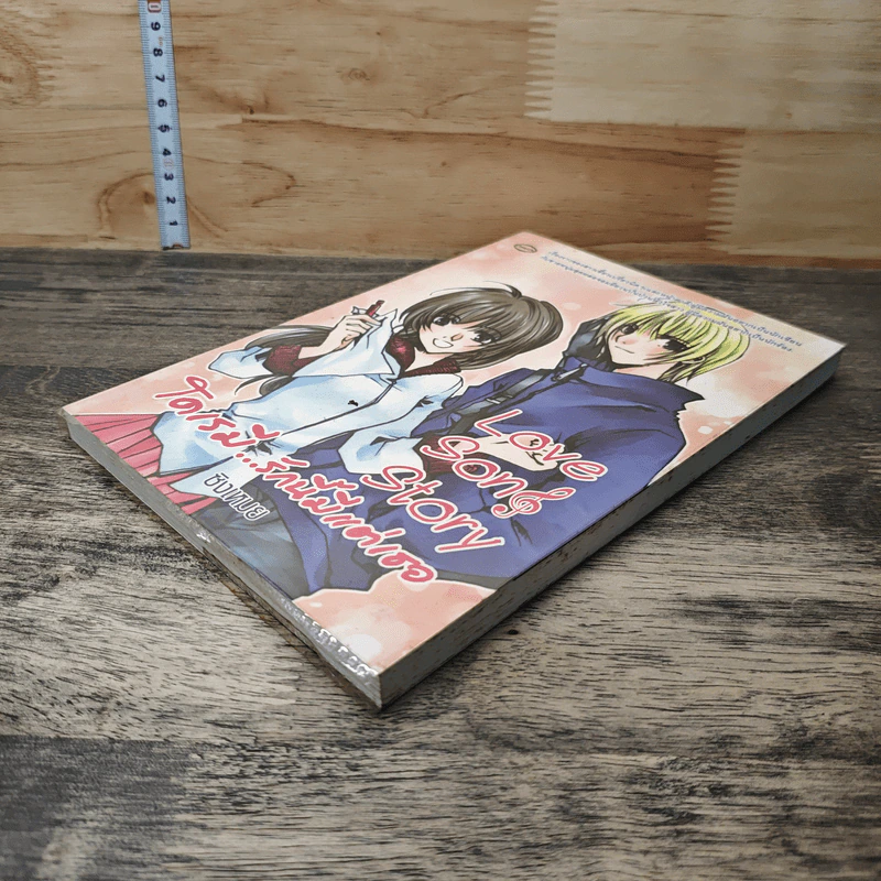 Love Song Story  โดเรมี...รักนี้มีแต่เธอ - ซิงเหมย รูปที่ 3