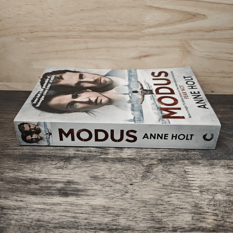 Modus - Anne Holt รูปที่ 2