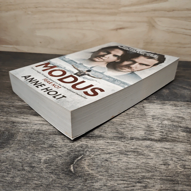 Modus - Anne Holt รูปที่ 3
