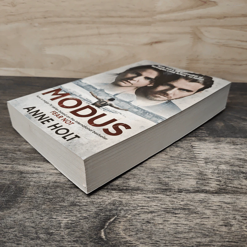 Modus - Anne Holt รูปที่ 3
