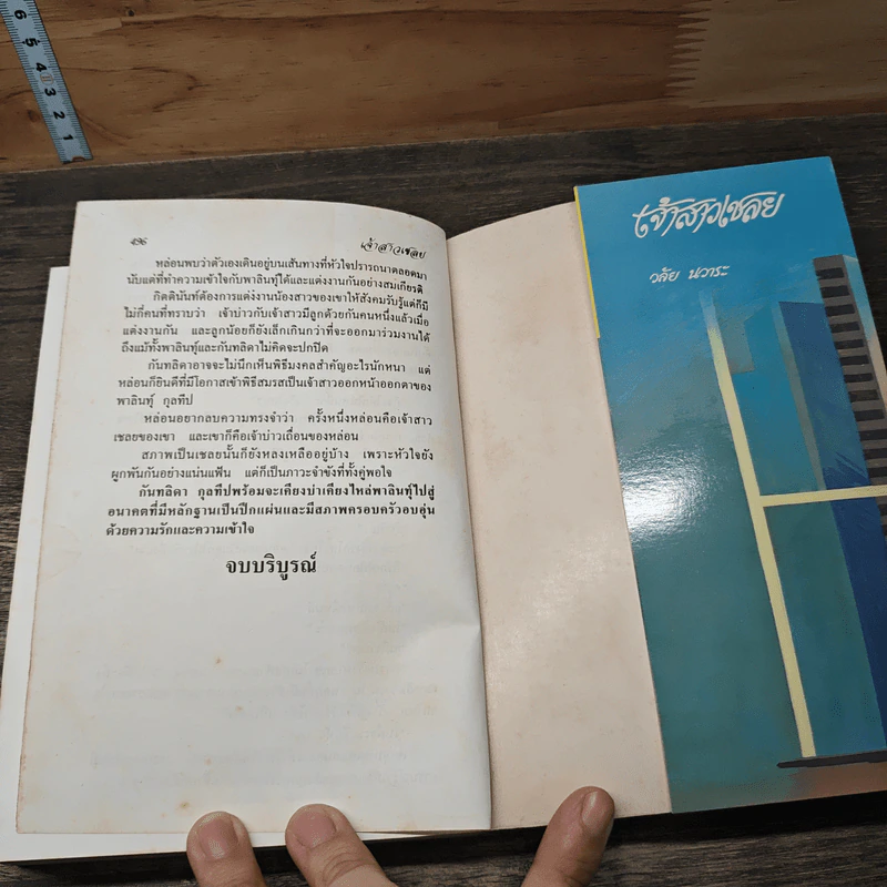 เจ้าสาวเชลย - วลัย นวาระ รูปที่ 8
