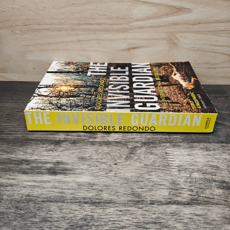 The Invisible Guardian - Dolores Redondo รูปที่ 2