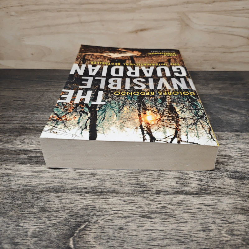 The Invisible Guardian - Dolores Redondo รูปที่ 4