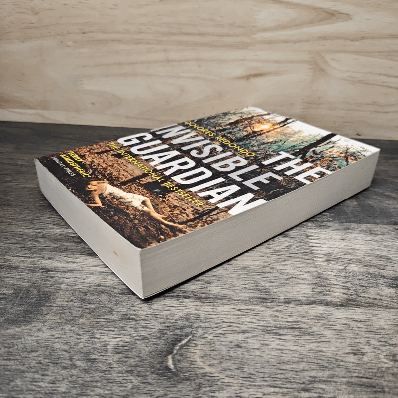 The Invisible Guardian - Dolores Redondo รูปที่ 3
