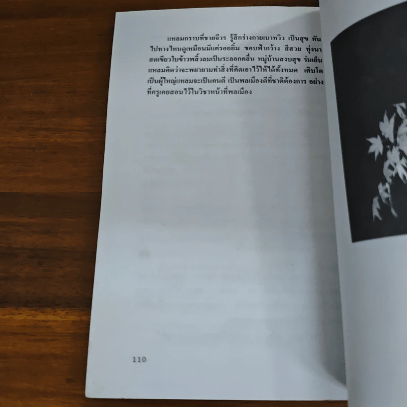 เด็กบ้านทุ่ง - สยุมพร บุตรนา รูปที่ 9
