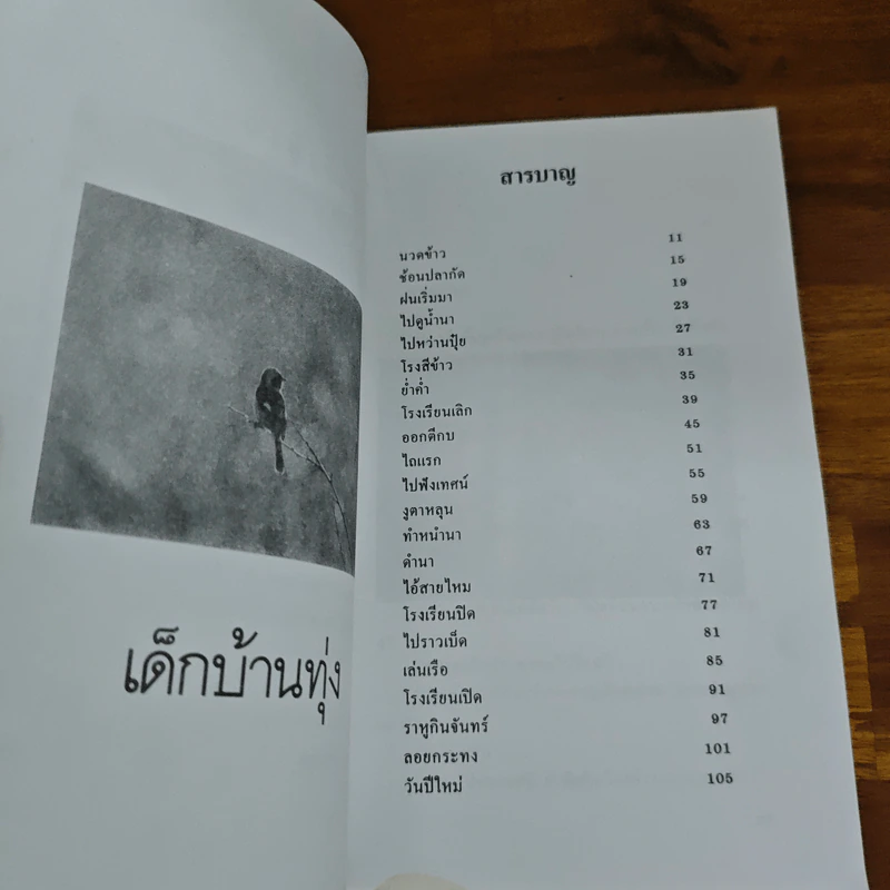 เด็กบ้านทุ่ง - สยุมพร บุตรนา รูปที่ 7