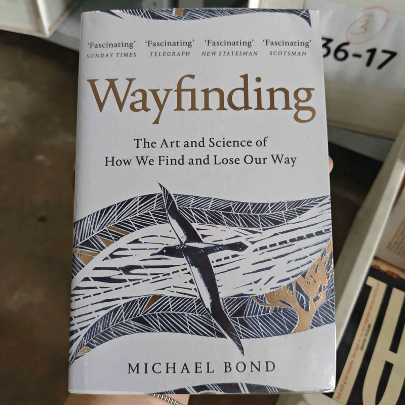 Wayfinding - Michael Bond รูปที่ 1