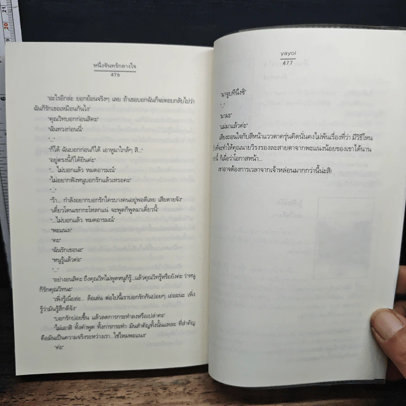 หนึ่งจันทร์กลางใจ รูปที่ 9