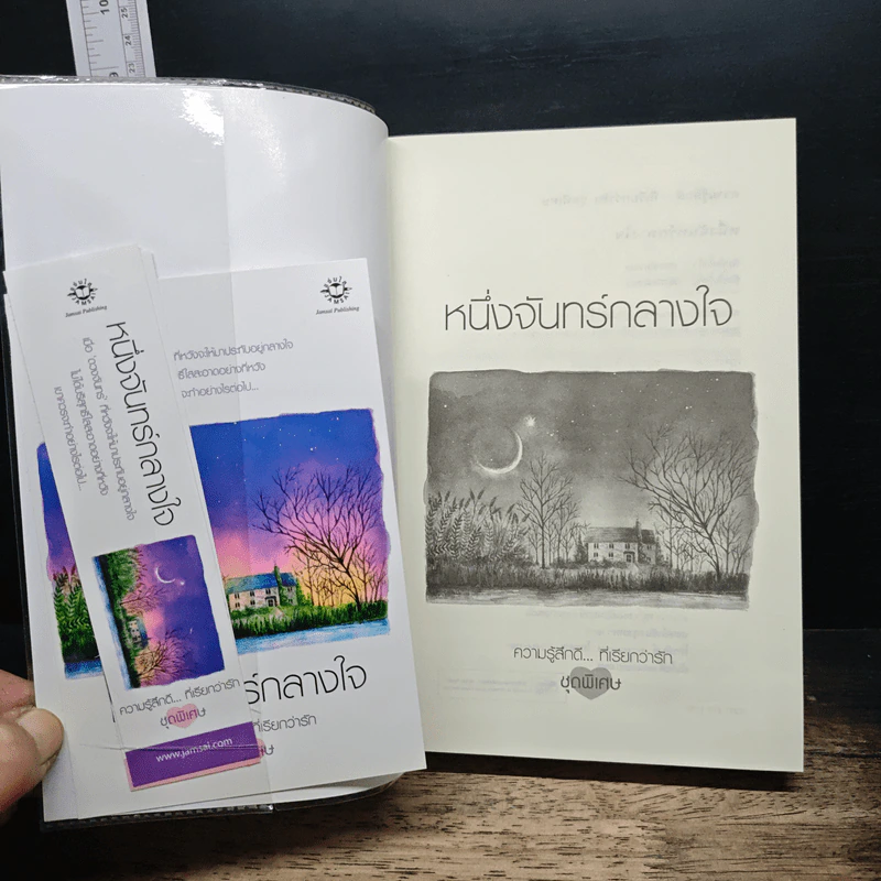 หนึ่งจันทร์กลางใจ รูปที่ 6